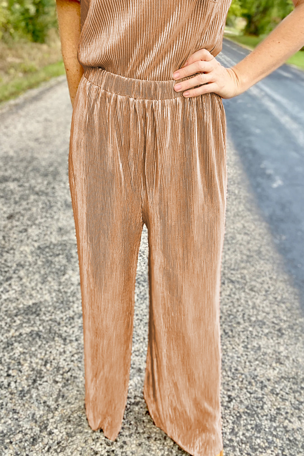 Clay Pleated Bubble Sleeve Top and Wide Leg Pants Set